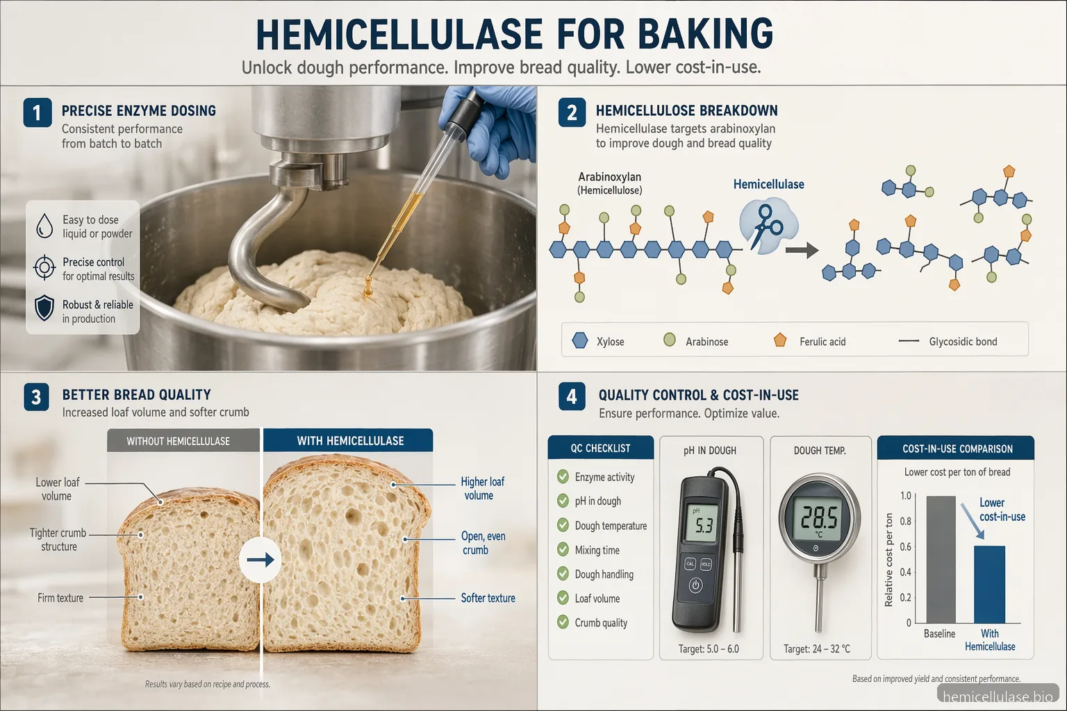 hemicellulase application for baking guide, showing enzyme dosing, dough handling, loaf volume, and cost controls