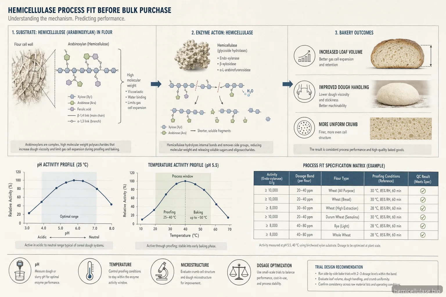 hemicellulase buy bulk process fit diagram mapping pH, temperature, flour substrate, dosage, and loaf outcomes