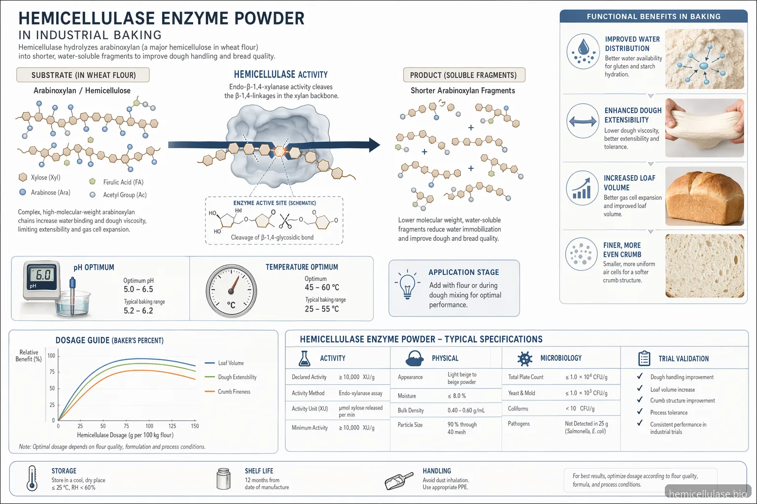 hemicellulase enzyme powder for industrial baking diagram showing arabinoxylan breakdown, pH range, temperature, and dosage