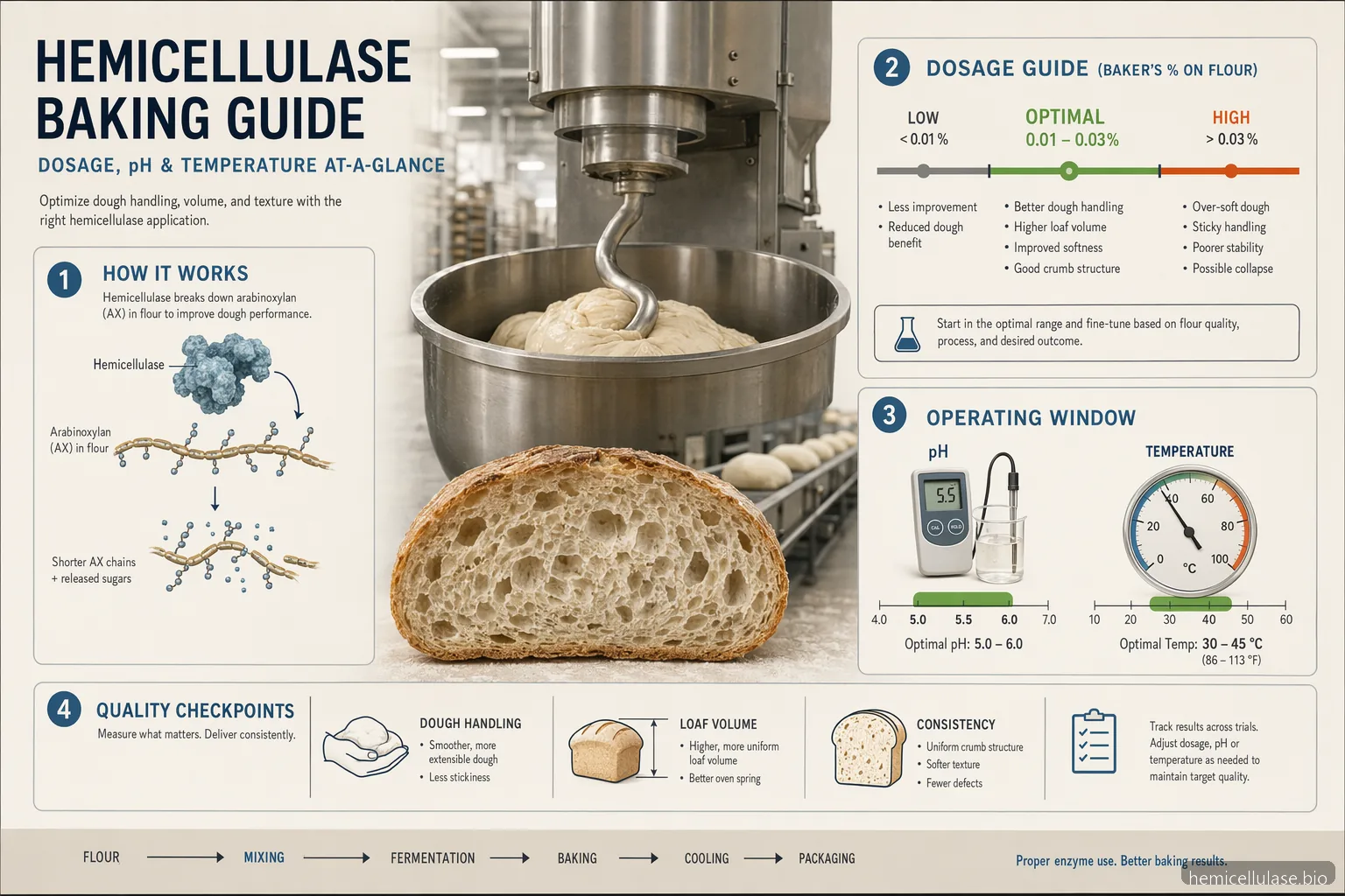 industrial hemicellulase baking dosage, pH, and temperature guide with enzyme, dough, QC, and trial icons